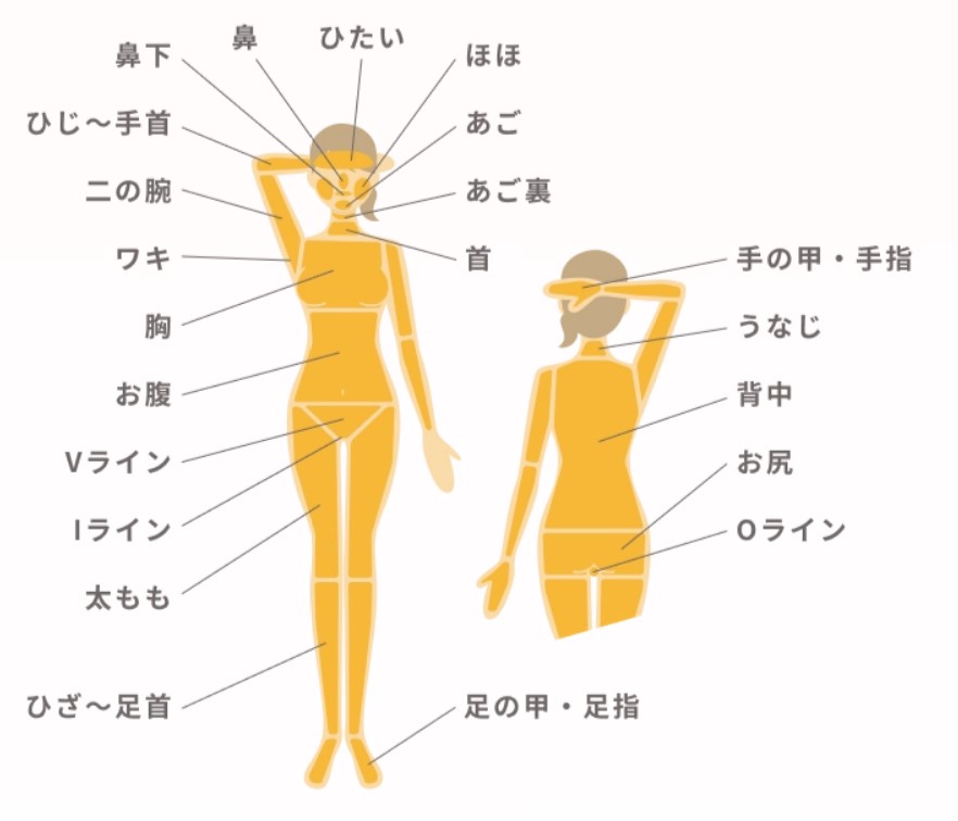 【厳選】リゼクリニックの料金・口コミ徹底調査